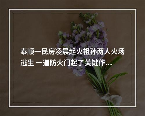 泰顺一民房凌晨起火祖孙两人火场逃生 一道防火门起了关键作用