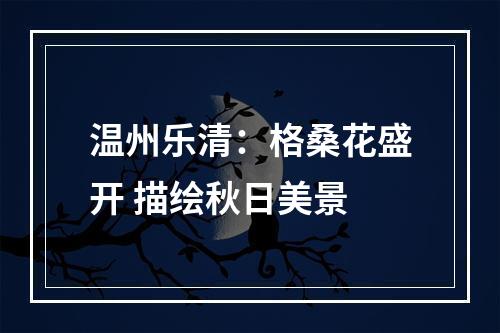 温州乐清：格桑花盛开 描绘秋日美景