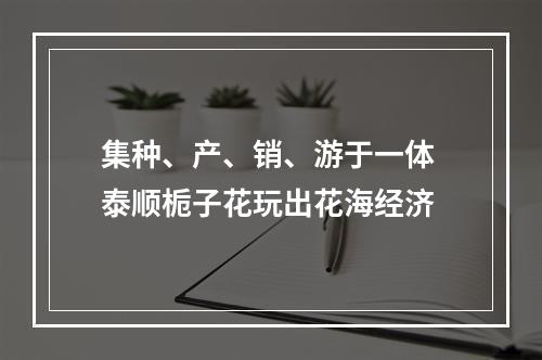 集种、产、销、游于一体 泰顺栀子花玩出花海经济
