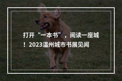 打开“一本书”，阅读一座城！2023温州城市书展见闻