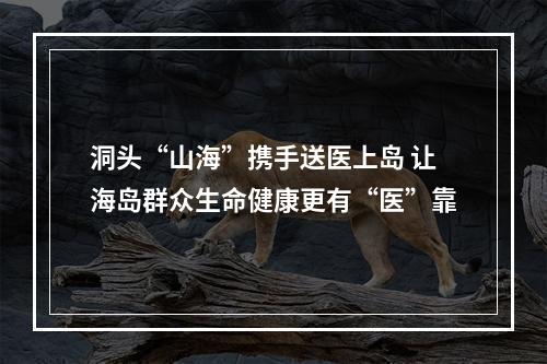 洞头“山海”携手送医上岛 让海岛群众生命健康更有“医”靠