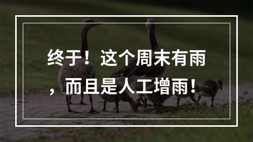 终于！这个周末有雨，而且是人工增雨！