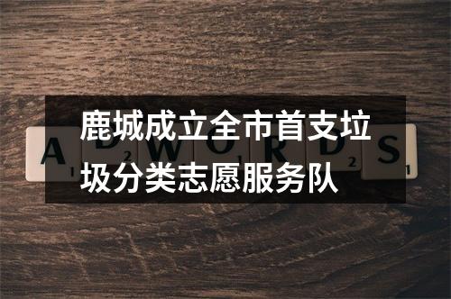 鹿城成立全市首支垃圾分类志愿服务队