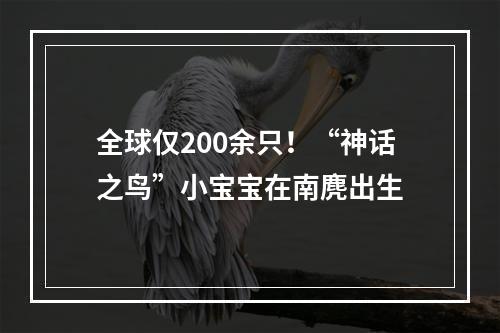 全球仅200余只！“神话之鸟”小宝宝在南麂出生