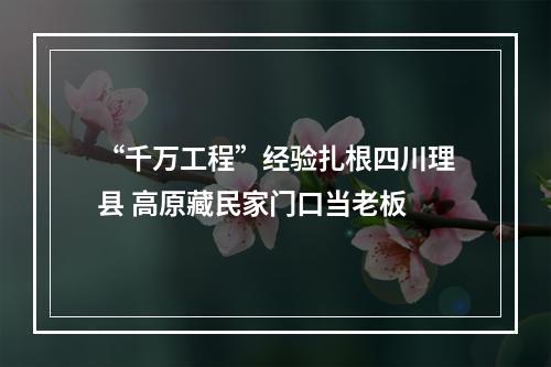 “千万工程”经验扎根四川理县 高原藏民家门口当老板