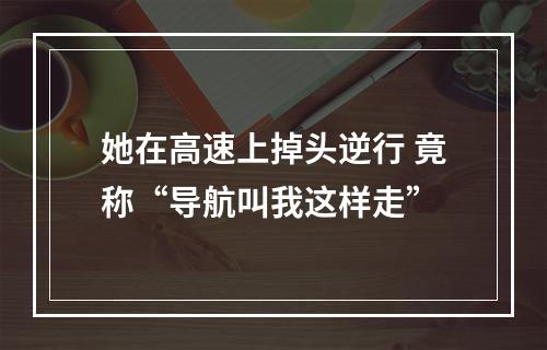 她在高速上掉头逆行 竟称“导航叫我这样走”