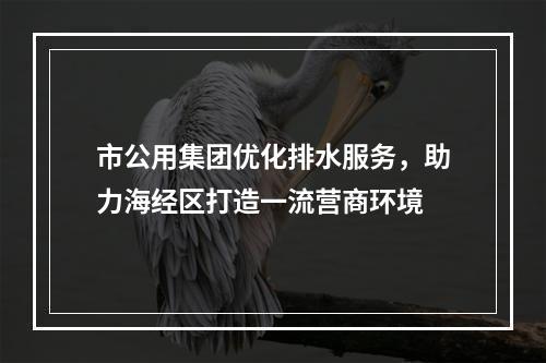 市公用集团优化排水服务，助力海经区打造一流营商环境