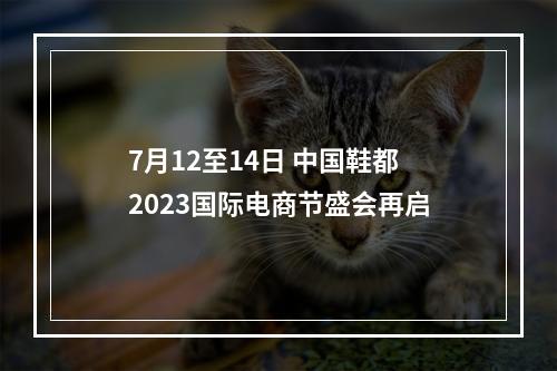 7月12至14日 中国鞋都2023国际电商节盛会再启