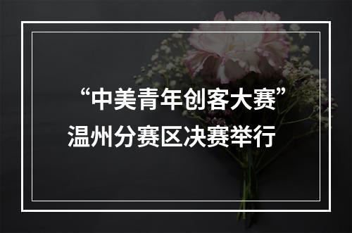 “中美青年创客大赛”温州分赛区决赛举行