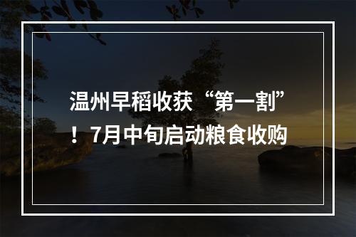 温州早稻收获“第一割”！7月中旬启动粮食收购