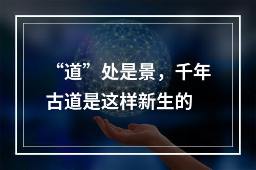 “道”处是景，千年古道是这样新生的