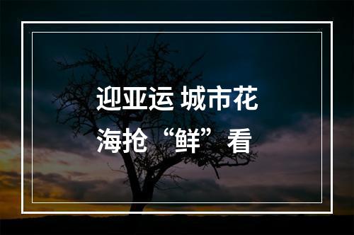 迎亚运 城市花海抢“鲜”看