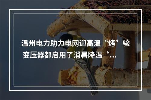 温州电力助力电网迎高温“烤”验 变压器都启用了消暑降温“黑科技”