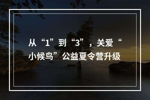从“1”到“3”，关爱“小候鸟”公益夏令营升级