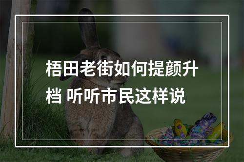 梧田老街如何提颜升档 听听市民这样说