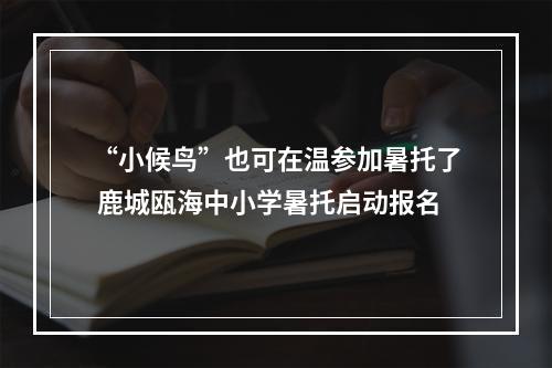 “小候鸟”也可在温参加暑托了 鹿城瓯海中小学暑托启动报名