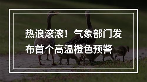 热浪滚滚！气象部门发布首个高温橙色预警