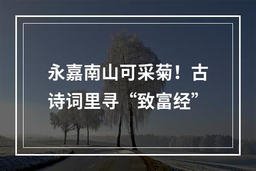 永嘉南山可采菊！古诗词里寻“致富经”