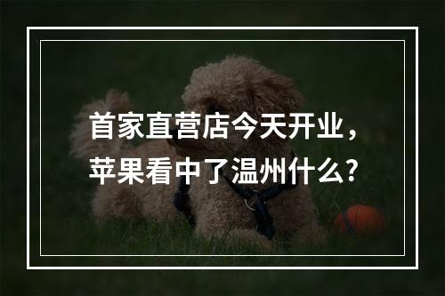 首家直营店今天开业，苹果看中了温州什么?