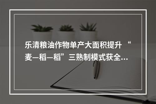 乐清粮油作物单产大面积提升 “麦—稻—稻”三熟制模式获全省推广