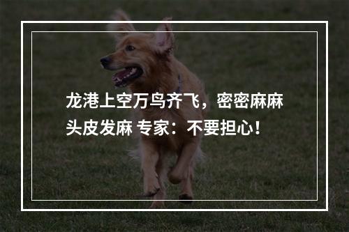 龙港上空万鸟齐飞，密密麻麻头皮发麻 专家：不要担心！