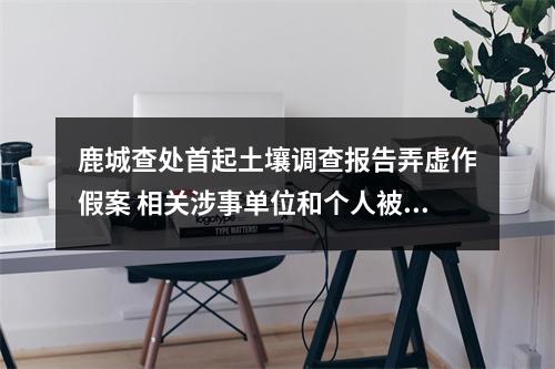 鹿城查处首起土壤调查报告弄虚作假案 相关涉事单位和个人被依法严处