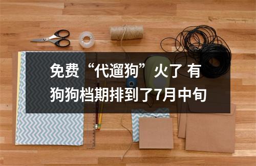 免费“代遛狗”火了 有狗狗档期排到了7月中旬