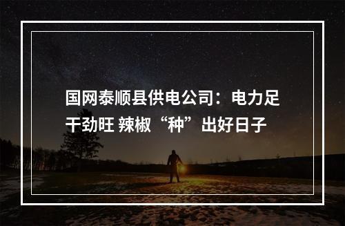 国网泰顺县供电公司：电力足干劲旺 辣椒“种”出好日子