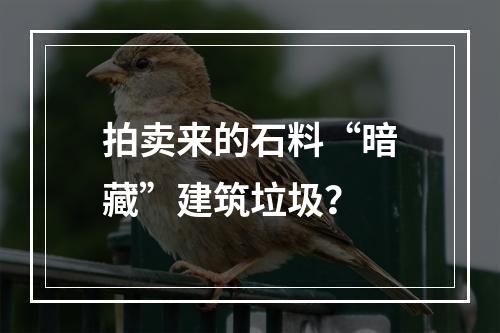 拍卖来的石料“暗藏”建筑垃圾？