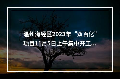温州海经区2023年“双百亿”项目11月5日上午集中开工！