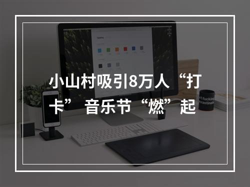小山村吸引8万人“打卡” 音乐节“燃”起