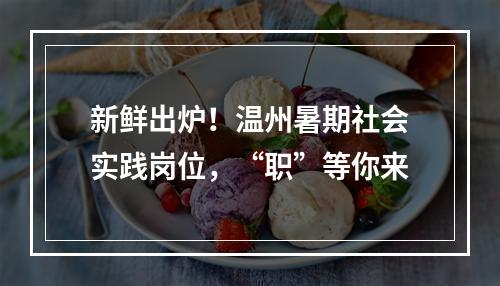 新鲜出炉！温州暑期社会实践岗位，“职”等你来