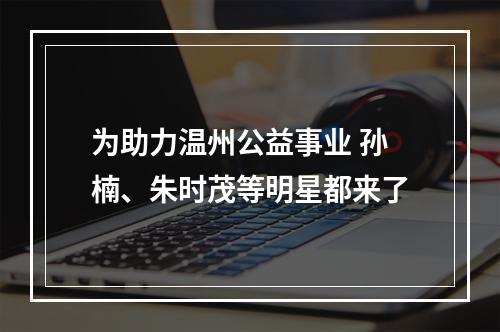 为助力温州公益事业 孙楠、朱时茂等明星都来了
