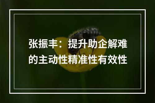 张振丰：提升助企解难的主动性精准性有效性