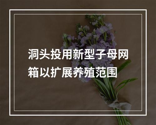 洞头投用新型子母网箱以扩展养殖范围