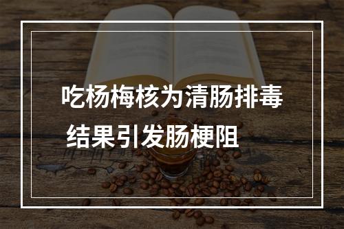 吃杨梅核为清肠排毒 结果引发肠梗阻