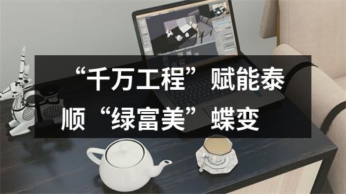 “千万工程”赋能泰顺“绿富美”蝶变