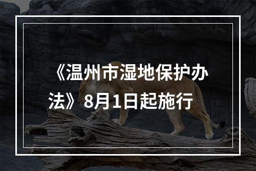 《温州市湿地保护办法》8月1日起施行