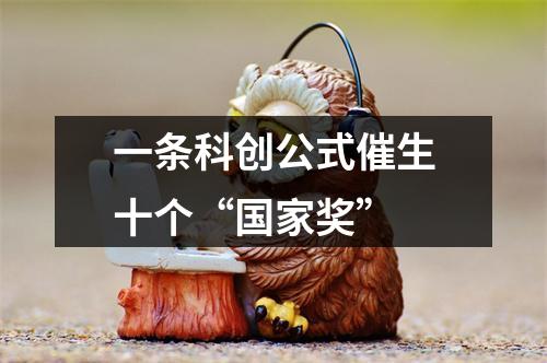 一条科创公式催生十个“国家奖”