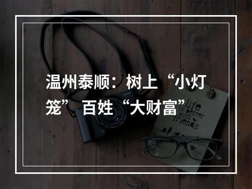 温州泰顺：树上“小灯笼” 百姓“大财富”