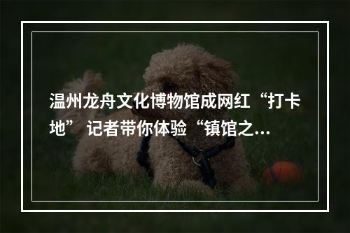 温州龙舟文化博物馆成网红“打卡地” 记者带你体验“镇馆之宝”