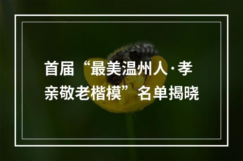 首届“最美温州人·孝亲敬老楷模”名单揭晓