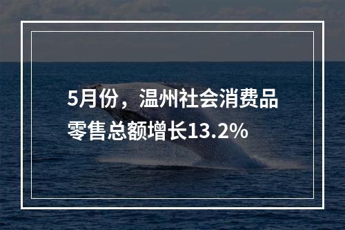 5月份，温州社会消费品零售总额增长13.2%