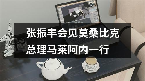 张振丰会见莫桑比克总理马莱阿内一行