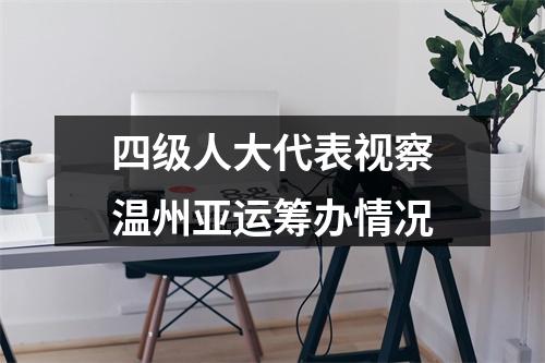 四级人大代表视察温州亚运筹办情况