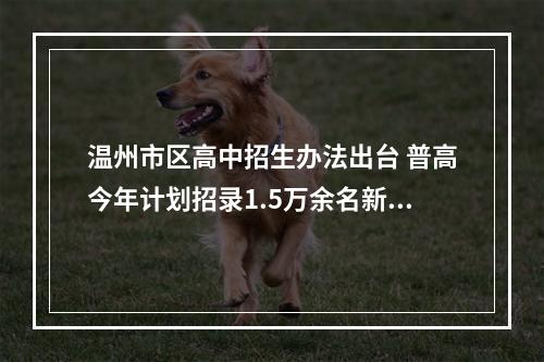 温州市区高中招生办法出台 普高今年计划招录1.5万余名新生