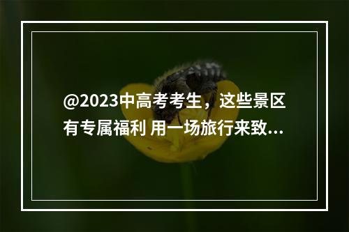 @2023中高考考生，这些景区有专属福利 用一场旅行来致青春
