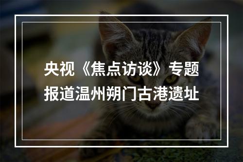 央视《焦点访谈》专题报道温州朔门古港遗址