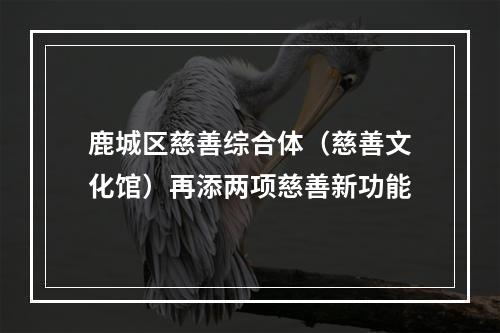 鹿城区慈善综合体（慈善文化馆）再添两项慈善新功能