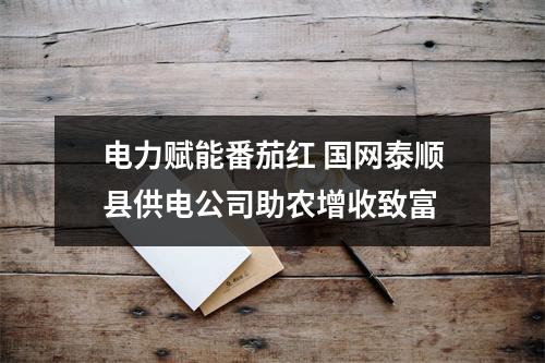 电力赋能番茄红 国网泰顺县供电公司助农增收致富